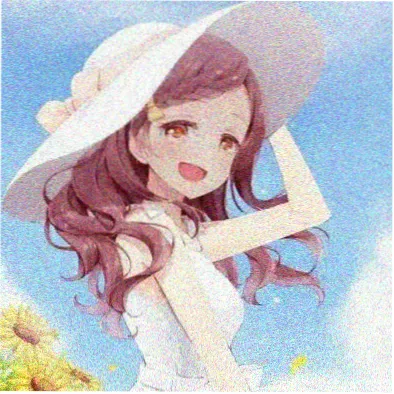 胶片收藏家的头像